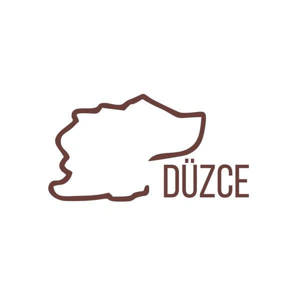 Düzce Harita Araba Sticker 17x17 Cm Kahverengi ürün görseli 1