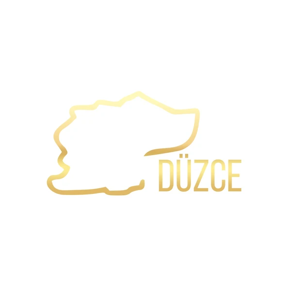 Düzce Harita Araba Sticker 17x17 Cm Gold ürün görseli 1