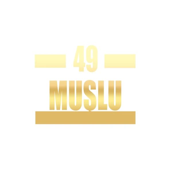 49 Muşlu Araba Sticker 17x17 Cm Gold ürün görseli 1
