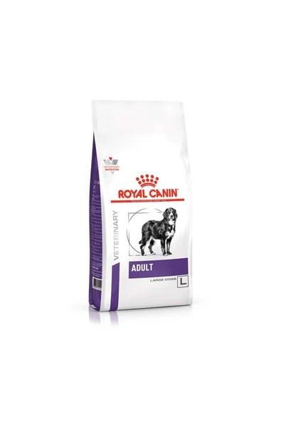 Royal canin   Adult L Büyük Irk Köpek Kuru Maması 13 Kg ürün görseli 1