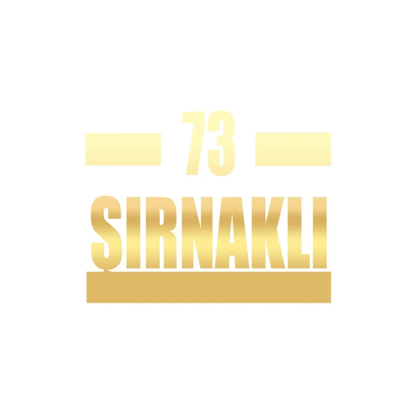 73 Şırnaklı Araba Sticker 17x17 Cm Gold ürün görseli 1
