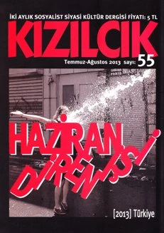 Kızılcık 55 Temmuz Ağustos 2013 ürün görseli 1