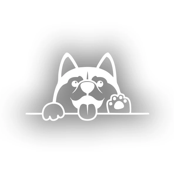 El Sallayan Köpek Araba Sticker 17x17 Cm Beyaz ürün görseli 1
