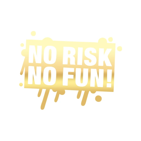 No Risk No Fun Araba Sticker 17x17 Cm Gold ürün görseli 1