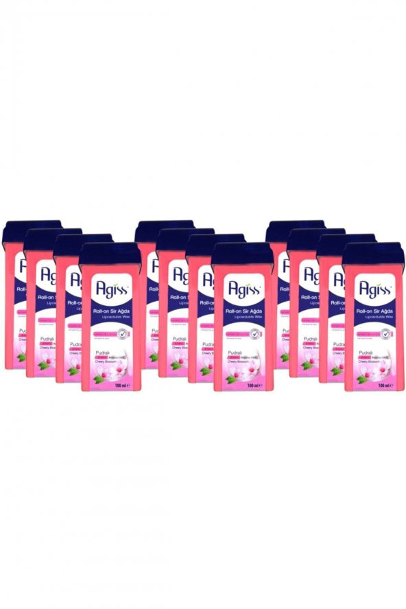 Agiss  Hassas Ciltler Pudralı Roll-on Sir Ağda 100 ml x 12 Paket ürün görseli 1