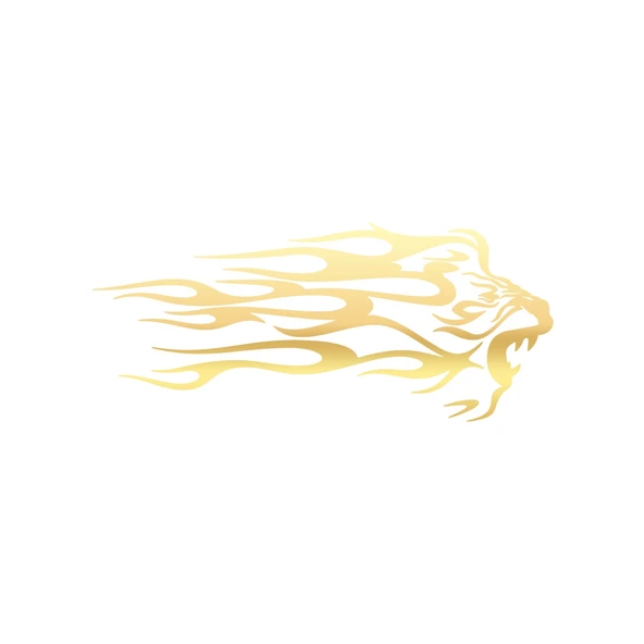 Alevli Aslan Sticker 17x17 Cm Gold ürün görseli 1