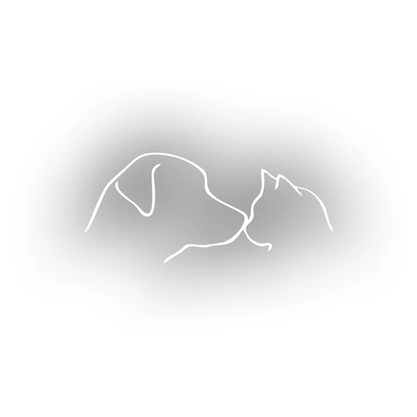 Kedi ve Köpek Sticker 17x17 Cm Beyaz ürün görseli 1