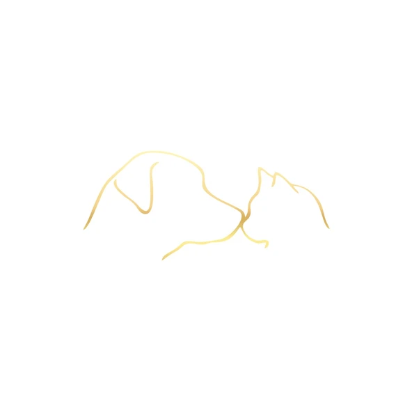 Kedi ve Köpek Sticker 17x17 Cm Gold ürün görseli 1
