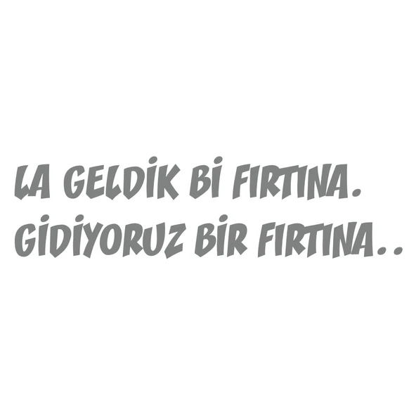 Geldik bi fırtına gidiyoruz bir fırtına sticker 17x17 Cm Gri ürün görseli 1