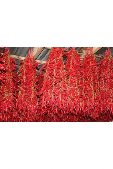 Zarifoğlu Köy Biberi ( Doğal Ekstra Acı ) 1000 gr - Resim 2