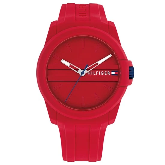 TOMMY HILFIGER TH1710598 ürün görseli 1