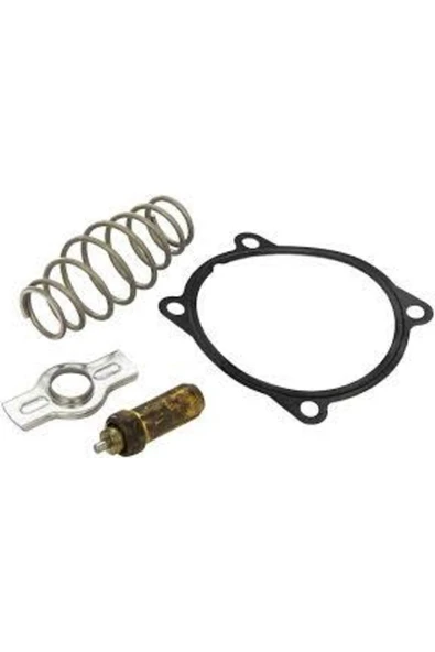 Mahle TX5179D Termostat   79c ürün görseli 1