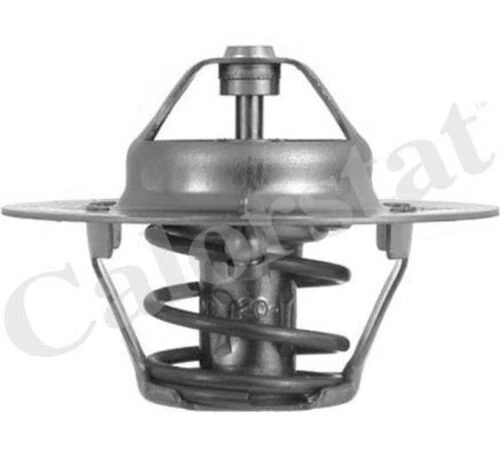 Vernet TH460880 Termostat Favorıt Felıcıa 1.3 ürün görseli 1