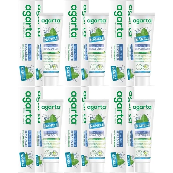 Agarta Doğal Diş Macunu 100ML Naneli (6 Lı Set) ürün görseli 1