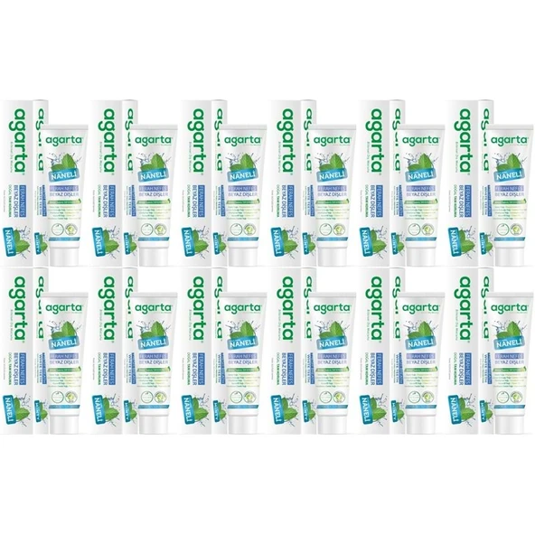 Agarta Doğal Diş Macunu 100ML Naneli (12 Li Set) ürün görseli 1