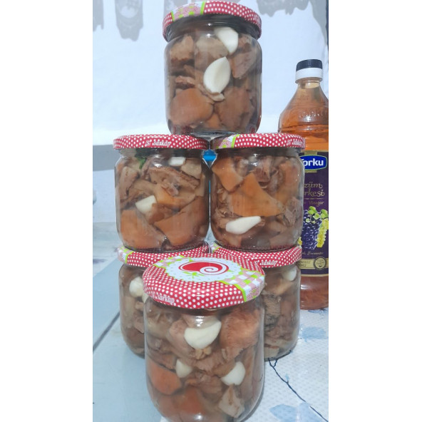 Kanlıca Mantarı Turşusu ürün görseli 1