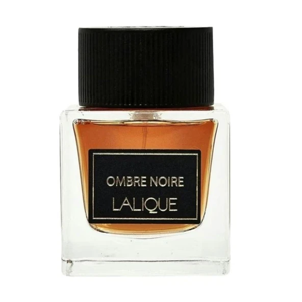 Lalique Ombre Noire EDP 100 ml Erkek Parfümü ürün görseli 1