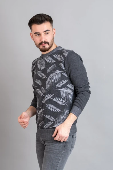 SAN&FA REGULAR FİT DESENLİ ERKEK TRİKO KAZAK ürün görseli 1