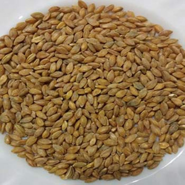 SİYEZ BUĞDAYI AŞURELİK(YARMA BUĞDAY) ürün görseli 1