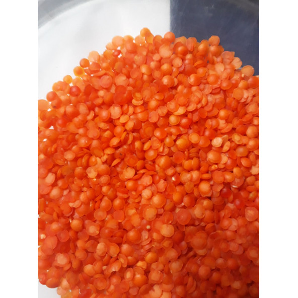 Kırmızı Mercimek ürün görseli 1