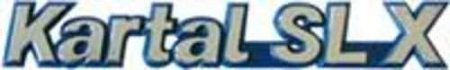 Ayhan A5403 Arka Yazı Kartal Slx 85009410 ürün görseli 1