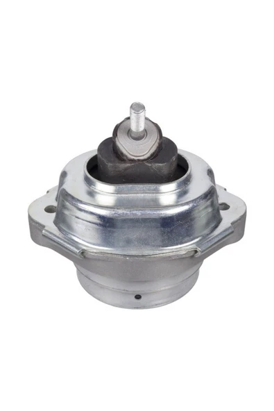 Swag 20929838 MOTOR TAKOZU R-L BMW M57 X5 E53 01-06 FEBI 29838-22 11 1 096 997 ürün görseli 1