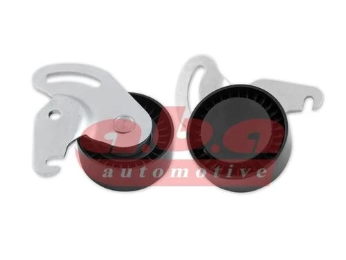 ABA 25203294  V KAYIŞ GERGİ RULMANI CLIO II KANGOO MEGANE II SCENI ürün görseli 1
