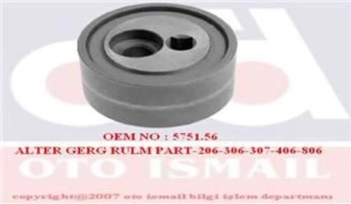 INA 531037310  V Kayış Gergi Rulmanı 307 2.0 HDI Dw10Td Nac ürün görseli 1