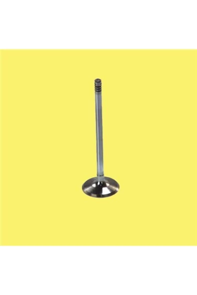 Güneş 4555 -4556 Subap Takımı J9 2.4 8v 8v Std 0.50 ürün görseli 1