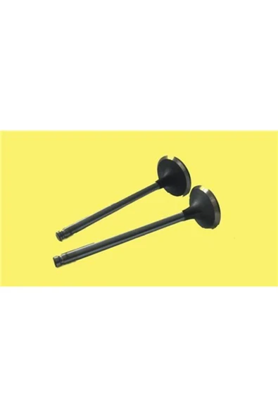 Güneş 4564 -4565  SUBAP TAKIMI J9 2.5 8V YESIL STD 0.50 ürün görseli 1