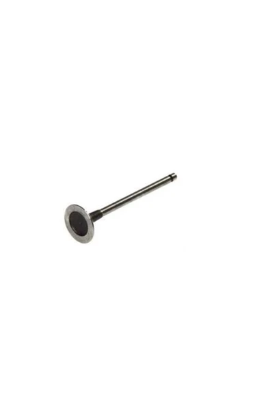 Güneş 6822 -6823  SUBAP FLUENCE 1,6-16V ENG.H4M TK. ürün görseli 1