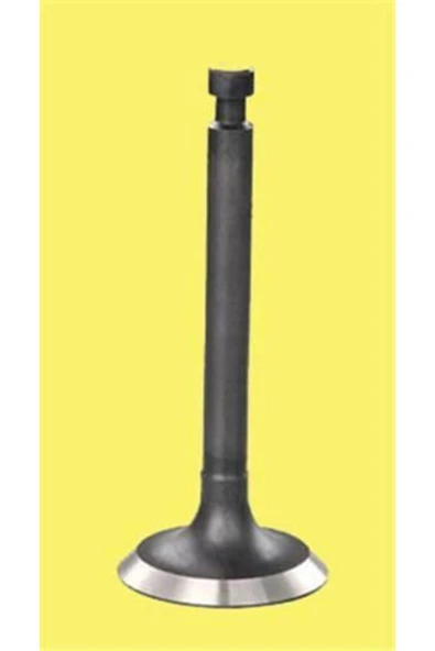 Güneş 4019 -4020 Subap Takımı Astra Corsa Zafira 1.8 16v Eng. E18xe 218xel 16v ürün görseli 1