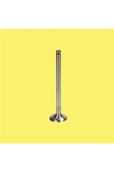 Güneş 6634 Subap Emme+eksoz Mondeo 2.0 16v Zetec Mot Tek Tırn. 5.5 Mm In-8/ex-8 Gunes -6635 ürün görseli 1