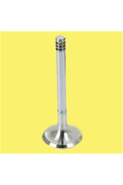 Güneş 0247 -248 Subap Takımı Golf Jetta / 80 Yeni Model Dizel Emme Egzoz ürün görseli 1