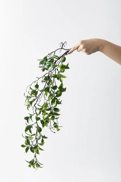 Güleç Yapay Çiçek Yapay Sarmaşık Çay Uv Korumalı Yeşil 75 Cm 5 Dal ürün görseli 1