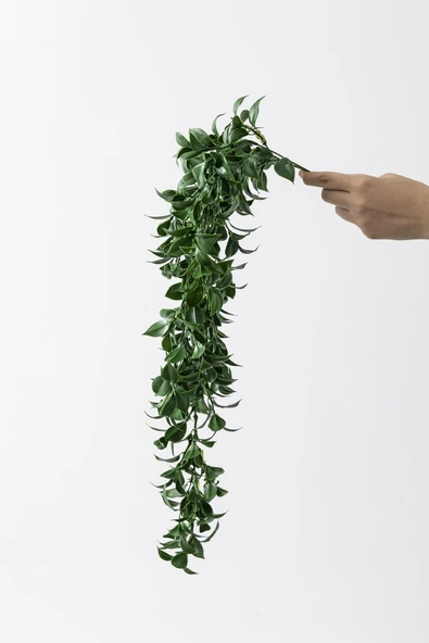Güleç Yapay Çiçek Yapay Sarmaşık Çay Uv Korumalı Koyu Yeşil 75 Cm 5 Dal ürün görseli 1