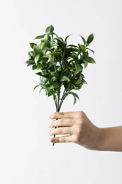 Yapay Limon Yaprağı Demeti Yeşil 30 Cm 7 Dal(Uv) ürün görseli 1