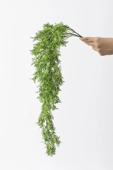 Güleç Yapay Çiçek Yapay Sarmaşık Kuşkonmaz Uv Korumalı Açık Yeşil 75 Cm 5 Dal ürün görseli 1