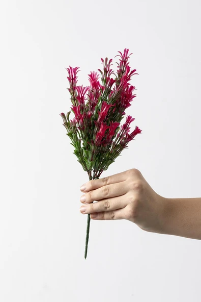 Yapay Latus Demeti Yeşil Pembe 35 Cm 5 Dal (Uv) ürün görseli 1