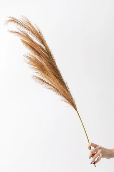 Güleç Yapay Çiçek Yapay Pampas Çiçeği 100 Cm Tek Dal Kahverengi ürün görseli 1