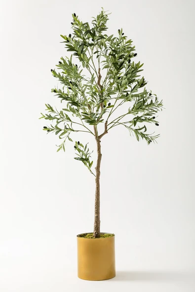 Güleç Yapay Çiçek Yapay Zeytin Ağacı 175 Cm Gold Metal Saksı ürün görseli 1