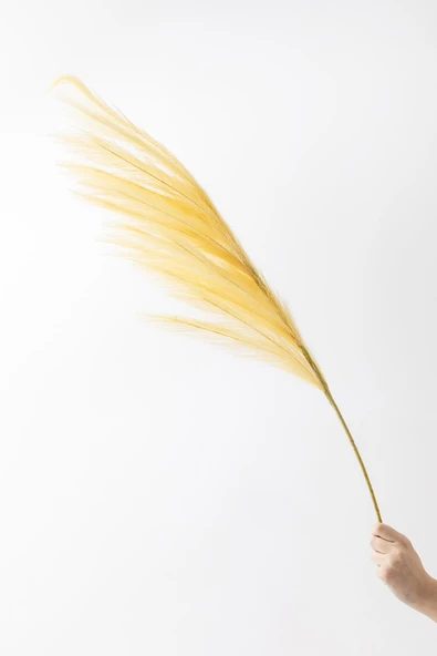 Güleç Yapay Çiçek Yapay Pampas Çiçeği 100 Cm Tek Dal Sarı ürün görseli 1