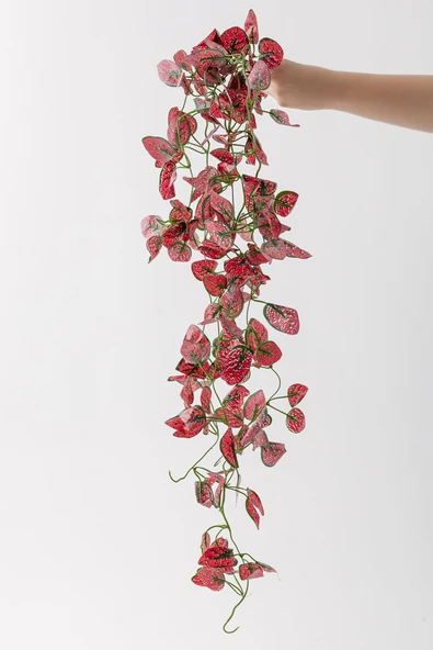 Yapay Renkli Sarmaşık 80 Cm 5 Dal - Resim 6