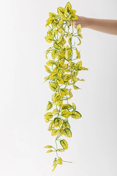 Yapay Renkli Sarmaşık 80 Cm 5 Dal - Resim 11