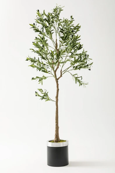 Güleç Yapay Çiçek Yapay Zeytin Ağacı 175 Cm Siyah Gümüş Metal Saksı ürün görseli 1