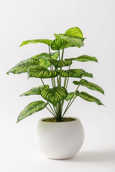 Güleç Yapay Çiçek Yapay Salon Köşe Çiçeği Devetabanı Yeşil Sarı 65 Cm Küre Plastik ürün görseli 1
