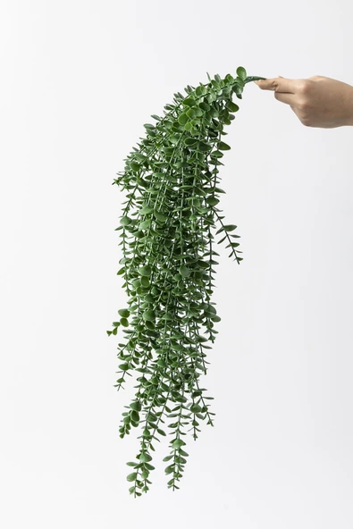 Yapay Okaliptus Sarmaşık Uv Korumalı Koyu Yeşil 90 Cm 5 Dal ürün görseli 1
