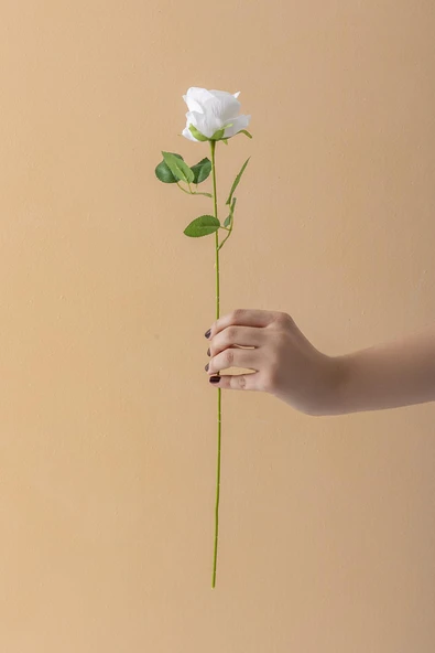 Güleç Yapay Çiçek Yapay Kadife Gül Tek Dal Beyaz 50 Cm ürün görseli 1