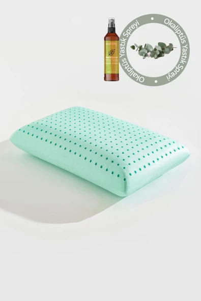 Softlife Aroma Terapi Okaliptüs Visco Yastık Ve Yastık Spreyi ürün görseli 1