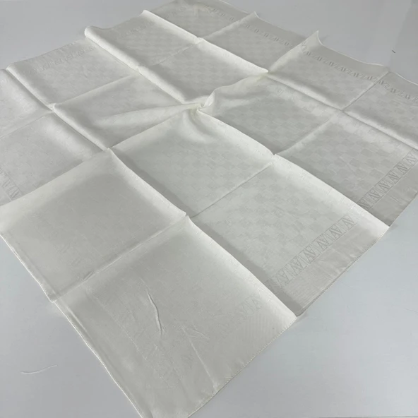 Armine Premium Jakar Eşarp ARG0308 ürün görseli 1